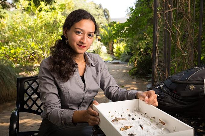 A student sits in the LaFourcade Garden and displays a box of pinned insects.